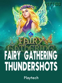 Fairy Gathering Thundershots game cover