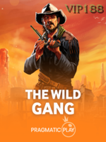 The Wild Gang game cover